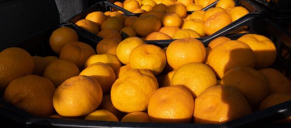 Оптовый рынок в Армавире - Sputnik Армения