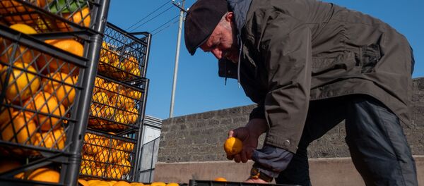 Оптовый рынок в Армавире - Sputnik Արմենիա