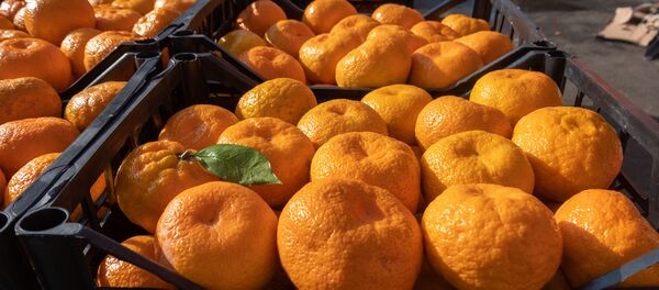 Оптовый рынок в Армавире - Sputnik Արմենիա