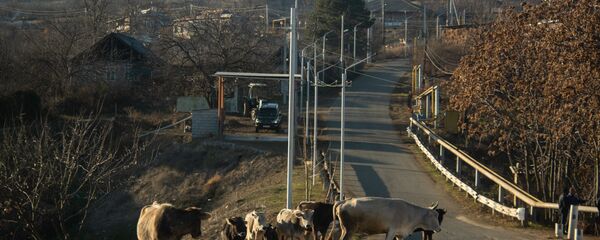 Село Коти - Sputnik Армения