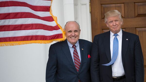 Избранный президент США Дональд Трамп встречается с бывшим мэром Нью-Йорка Руди Джулиани (20 ноября 2016). Бедминстер - Sputnik Армения
