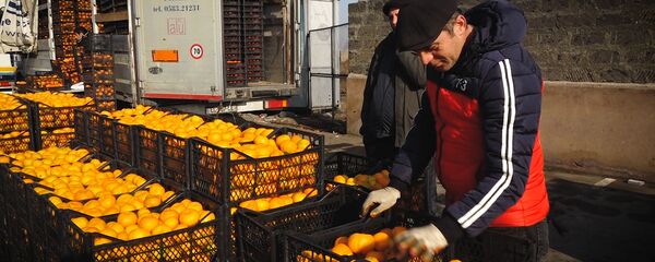 На рынке «Меймандар» есть мандарины на любой вкус На рынке «Меймандар» есть мандарины на любой вкус - Sputnik Армения