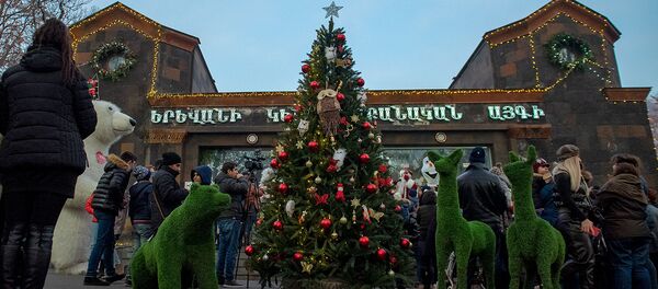 Рождественские украшения Ереванского зоопарка - Sputnik Արմենիա