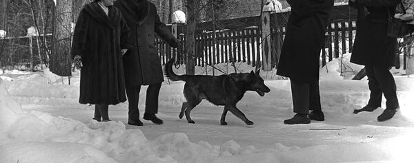 Советский шахматист Михаил Ботвинник с супругой Гаянэ Анановой отправляются на прогулку (1963 год). Москвa - Sputnik Армения