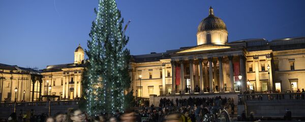 Главная рождественская ель в Лондоне - Sputnik Արմենիա