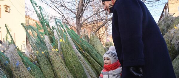 Посетители елочного базара Посетители елочного базара - Sputnik Արմենիա