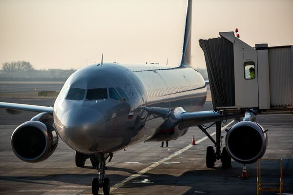 Звартноц обслужил рекордное число пассажиров: гостей ждал сюрприз —фото - Sputnik Армения