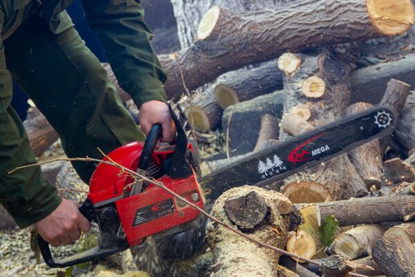 Առաջին յոթ հատին ձեռք չտաս․ իսկական ծես, կամ ինչպես է թխվում նախատոնական լավաշը Առաջին յոթ հատին ձեռք չտաս․ իսկական ծես, կամ ինչպես է թխվում նախատոնական լավաշը - Sputnik Արմենիա