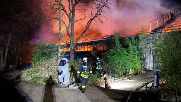 Пожарные около горящего приюта обезьян в зоопарке Крефельд (1 января 2020). Германия - Sputnik Армения