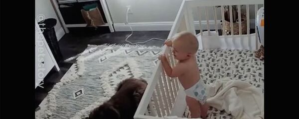 Домашние питомцы и их юные хозяева Домашние питомцы и их юные хозяева - Sputnik Армения