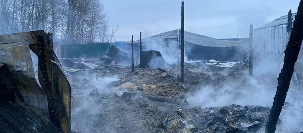 Последствия пожара на территории дачного товарищества в Подмосковье (7 января 2020). Раменский район - Sputnik Армения