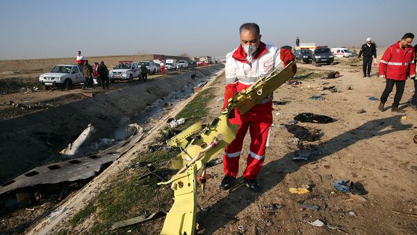 Спасательные команды извлекают обломки с поля крушения украинского самолета (8 января 2020). Тегеран - Sputnik Армения