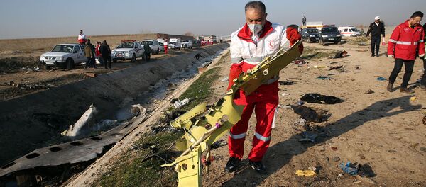 Спасательные команды извлекают обломки с поля крушения украинского самолета (8 января 2020). Тегеран - Sputnik Армения