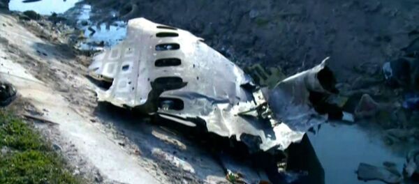 На месте крушения украинского лайнера в Иране работают спасатели: никто не выжил - Sputnik Армения