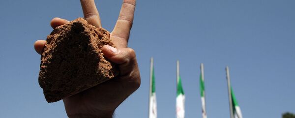 Иранский студент с камнем в руке во время парада, посвященного Дню Аль-Кудса (26 сентября 2008). Тегеран - Sputnik Արմենիա