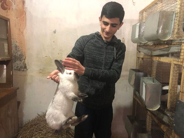 Одна встреча с Пашиняном и 15-летний гюмриец замахнулся на кроличью ферму Одна встреча с Пашиняном и 15-летний гюмриец замахнулся на кроличью ферму - Sputnik Армения