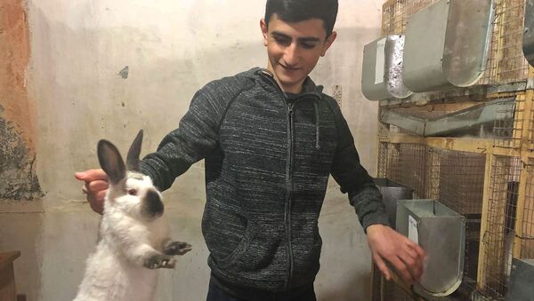 Дело вместо слова: 15-летний фермер Микаел Саркисян занимается разведением кроликов - Sputnik Армения