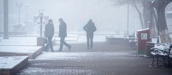 Снежная аллея туманным утром - Sputnik Արմենիա