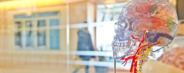 ученые мысли наука эксперимент технологии мозг сигналы - Sputnik Армения