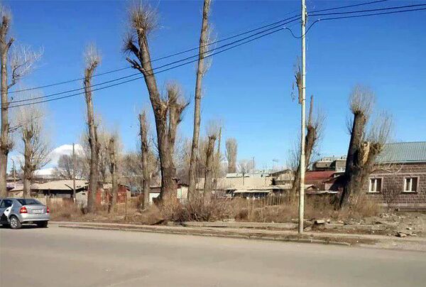 Վերացված կանաչ գոտի Գյումրիում, կամ օրենքը լռո՞ւմ է «օրենքով գողերի» դեպքում - Sputnik Արմենիա