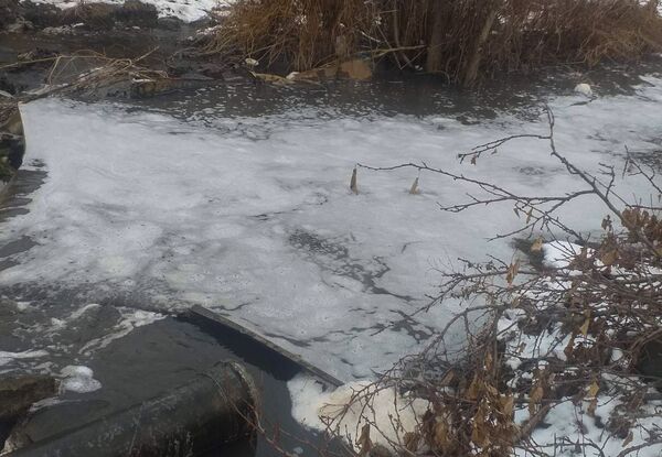 «Եկանք, տեսանք` ձկները սատկել են». ձկնաբուծարանի տիրոջը միայն մի բան է կասկածելի թվացել - Sputnik Արմենիա