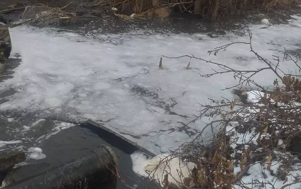 Погибшая рыба Карена Григоряна, село Гетамеч, Котайк Погибшая рыба Карена Григоряна, село Гетамеч, Котайк - Sputnik Армения