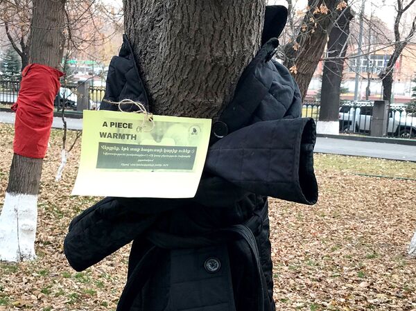 Մի կտոր ջերմություն` «նորաձև» ծառերից. բարեգործական ակցիան տաքացրել է տասնյակ մարդկանց Մի կտոր ջերմություն` «նորաձև» ծառերից. բարեգործական ակցիան տաքացրել է տասնյակ մարդկանց - Sputnik Արմենիա