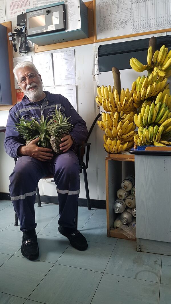 Ծով չունեցող երկրում կարելի է ծովագայլ դառնալ․ ինչպես Ալոյանը ջրի երես հանեց թուրքին Ծով չունեցող երկրում կարելի է ծովագայլ դառնալ․ ինչպես Ալոյանը ջրի երես հանեց թուրքին - Sputnik Արմենիա