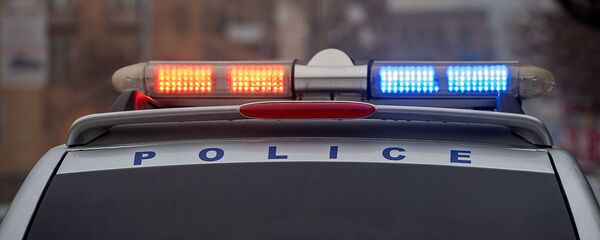 Полицейский автомобиль Полицейский автомобиль - Sputnik Արմենիա