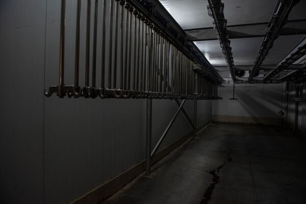 Это вам не скотный двор, или Почему забой скота в Армении вызвал шквал эмоций - Sputnik Армения