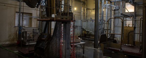 Скотобойня в селе Арамус - Sputnik Армения