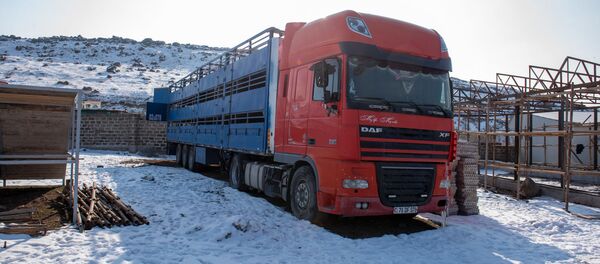 Грузовая машина скотобойни в селе Арамус - Sputnik Армения