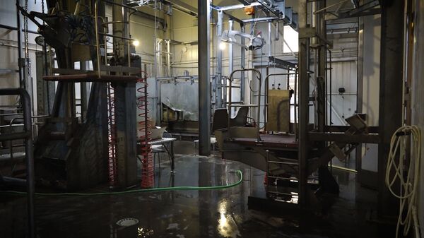 Это вам не скотный двор, или Почему забой скота в Армении вызвал шквал эмоций - Sputnik Армения