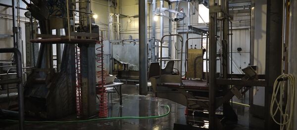 Фермеры против обязательного забоя скота на бойнях - Sputnik Армения