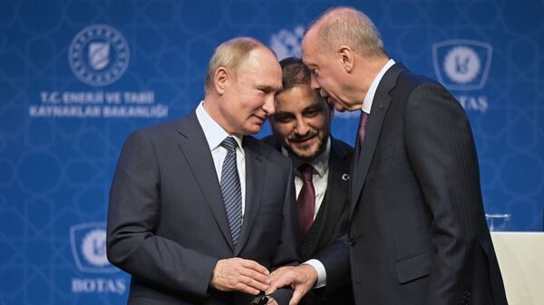 Рабочий визит президента РФ В. Путина в Турецкую Республику - Sputnik Արմենիա