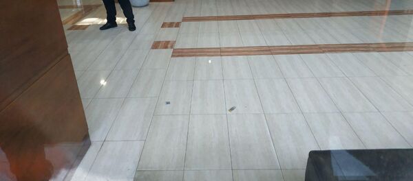 Гильзы на полу в фойе Эребуни плаза - Sputnik Արմենիա