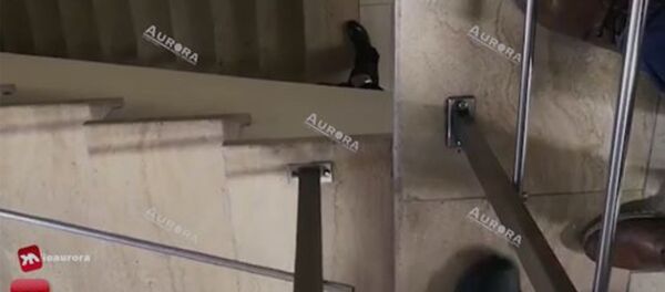 Переговоры начальника полиции с предполагаемым преступником - Sputnik Армения