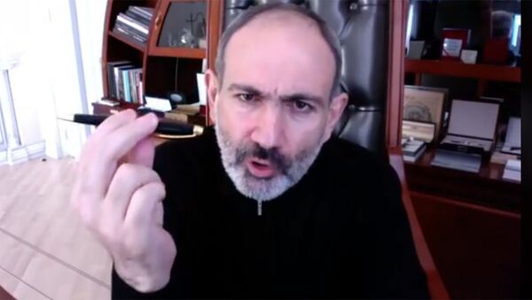 Никол Пашинян демонстрирует ручку, подаренную ему Грайром Товмасяном - Sputnik Армения