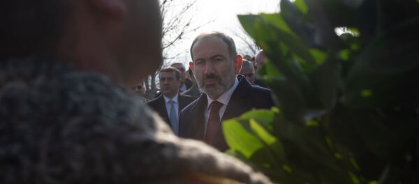  День Армии в Мемориальном комплексе Ераблур (28 января 2020). Еревaн - Sputnik Արմենիա