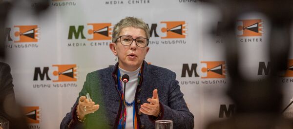 Директор Фонда Открытого Общества Армении Лариса Минасян на пресс конференции (29 января 2020). Еревaн - Sputnik Армения