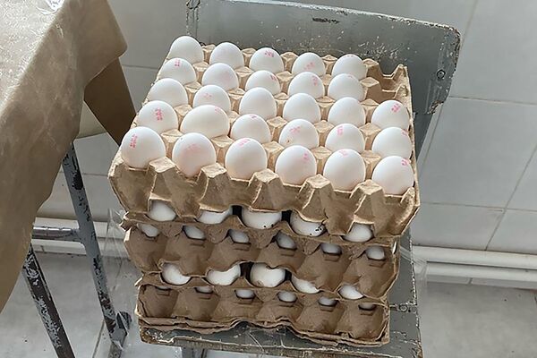 Գյումրու դպրոցներից մեկում ժամկետանց մթերք են հայտնաբերել. լուսանկարներ - Sputnik Արմենիա