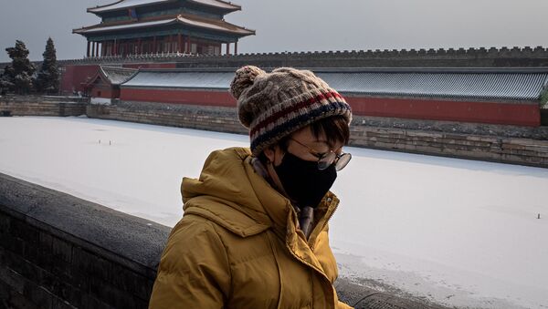 Женщина в защитной маске за пределами Запретного города (2 февраля 2020). Пекин - Sputnik Армения