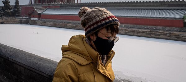 Женщина в защитной маске за пределами Запретного города (2 февраля 2020). Пекин - Sputnik Արմենիա