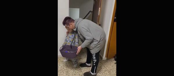 Хозяйка у двери забирает телефоны у гостей - Sputnik Արմենիա