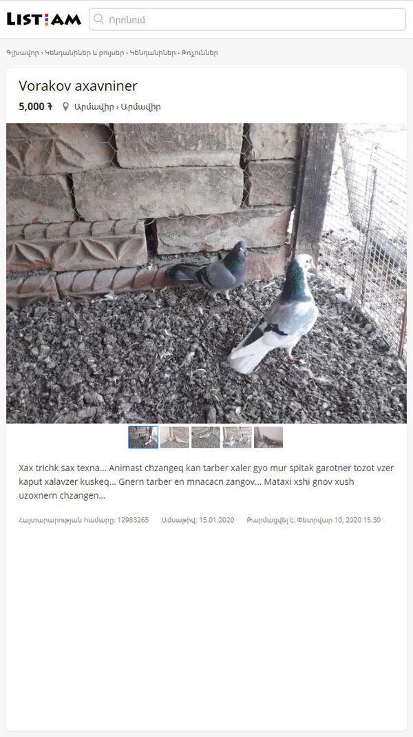 Самые бредовые лоты объявлений о продаже в Армении - Sputnik Армения