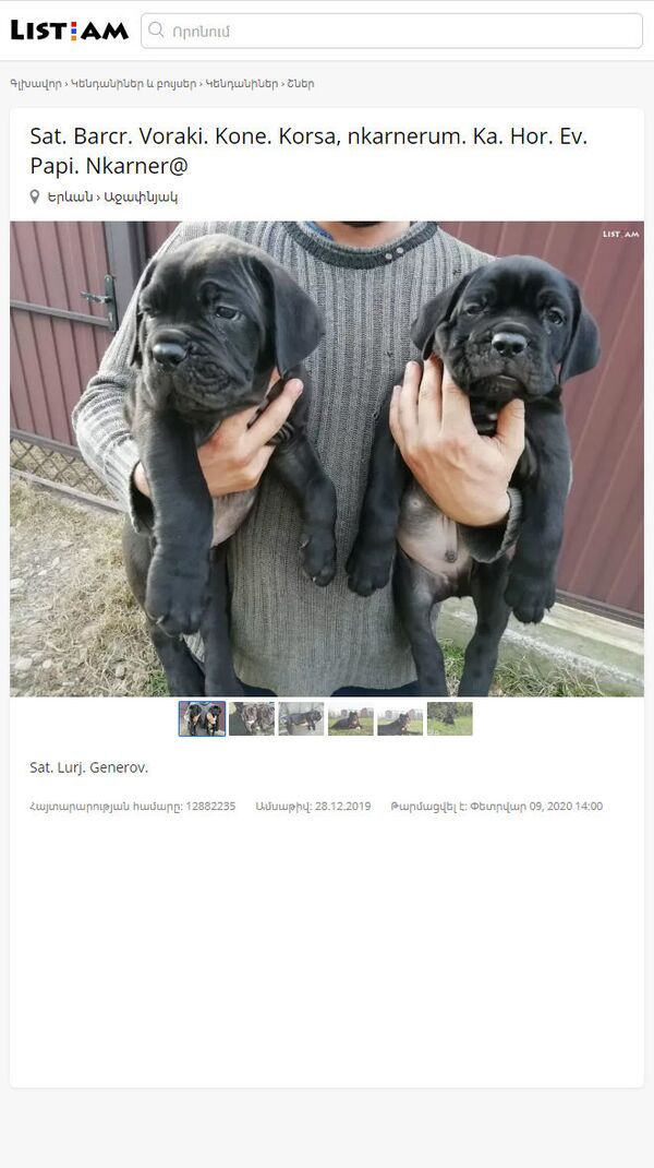 Самые бредовые лоты объявлений о продаже в Армении - Sputnik Армения