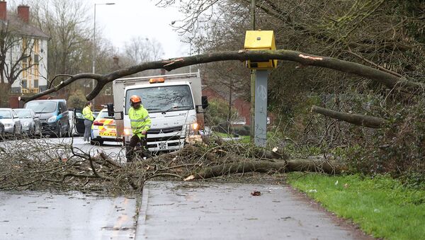 Рабочие пытаются убрать упавшее на камеры слежения дерево после прохождения шторма Сиара (9 февраля 2020). Тайлхерст, Англия - Sputnik Армения
