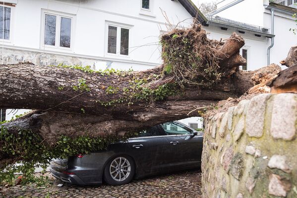 Упавшее на автомобиль дерево после прохождения шторма Сиара в Гамбурге, Германия - Sputnik Армения