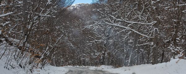 Дорога в монастырский комплекс Агарцин - Sputnik Արմենիա