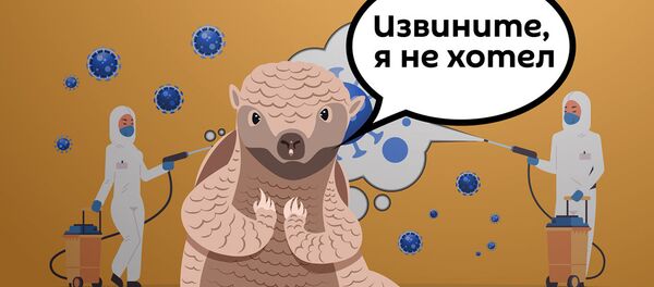 Мир охватили эпидемии, ВОЗ призывает объединить усилия - Sputnik Армения